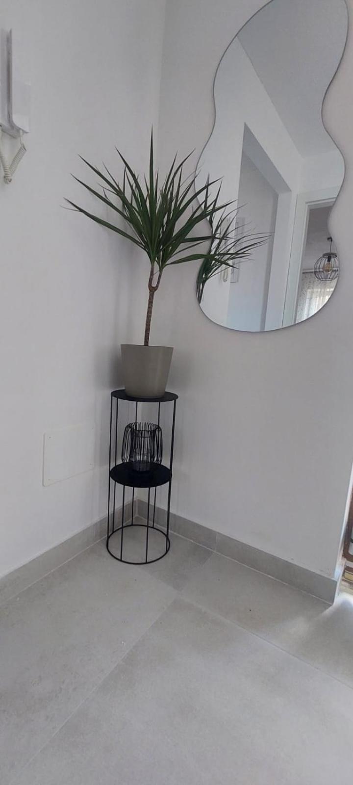Apartment Olive Kaštela Buitenkant foto